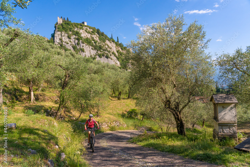 Obraz premium nice and active senior woman riding her electric mountain bike in the Garda lake mountains between blooming the olive groves of Arco close to Riva del Garda and Garda Lake , Landscape