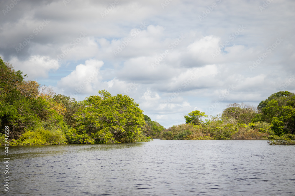 Floresta e rio Amazonas