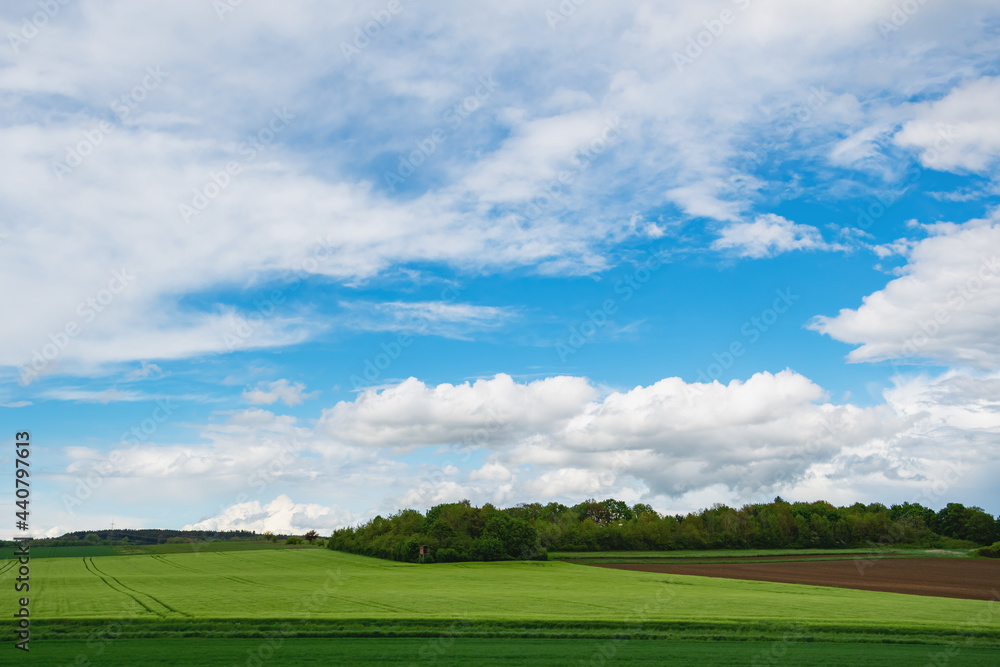 summer blue sky with clouds and view of the field with green grass