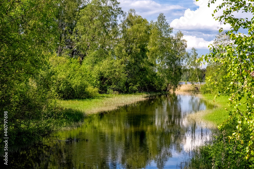 Summer landscape. Lake in the forest. Nature Conservation Concept. Summer background. High quality photo