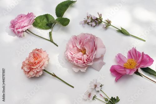 Garden summer floral composition. Colorful flowers and herbs isolated on white table background in sunlight. English roses, sage, peony and geranium blooms, leaves. Selective focus, blurred background photo
