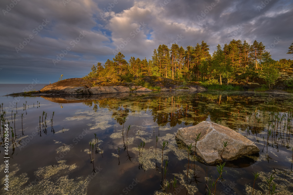 Quiet swamp on the shore of the northern lake on a warm sunny evening Quiet swamp on the shore of the northern lake on a warm sunny evening