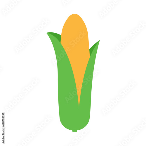 Ear of corn. Minimal style sweet corn. Minimal style, side view. Abstract geometric vegetable on white background. Modern minimalistic template.