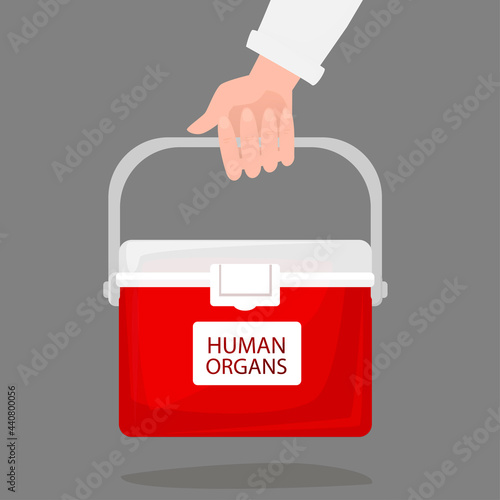 Hand holding portable fridge for transporting donor humans organs. Red cooler shipping box. Human organ for transplant and healthcare concept. Flat vector illustration on white background