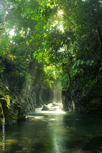 Fototapeta Naklejka Na Ścianę i Meble -  a view of a waterfall with a bordering wall and the light of the morning sun on a green tree in a tropical forest in Indonesia