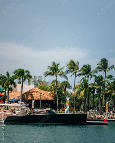 beach with palm trees tropical yacht luxury Miami Beach florida summer sky panorama tourism 