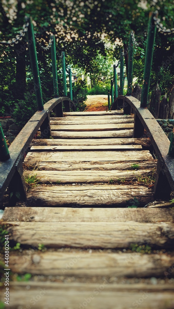 Obraz premium wooden bridge in the forest