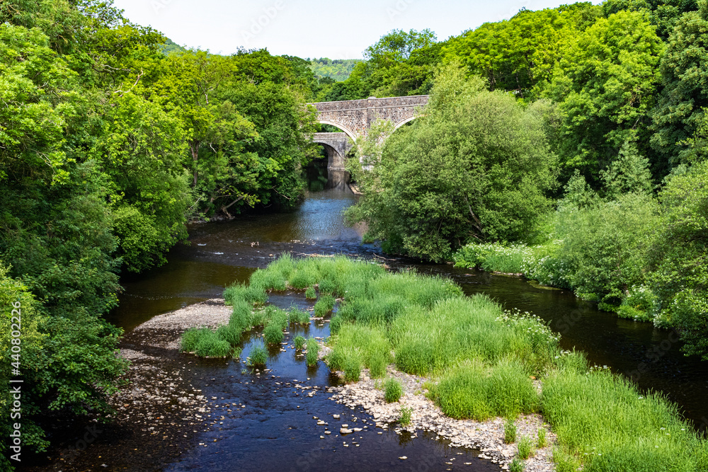 View of River Torridge, Rolle Bridge and Distant Historic Rothern Bridge in Summer: the River Torridge Great Torrington, Devon, England. View of River Torridge, Rolle Bridge and Distant Historic Rothern Bridge in Summer: the River Torridge Great Torrington, Devon, England.