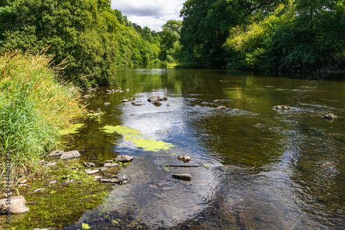 Summer View of the River Torridge: Looking Up River in Reduced Flow Showing The River Valley, Castle Hill and Exposed River Bed. River Torridge, Great Torrington, Devon, England. photo