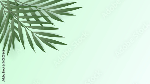 Palm leaves frame in Summer session isolated on green background  Vector illustration EPS 10