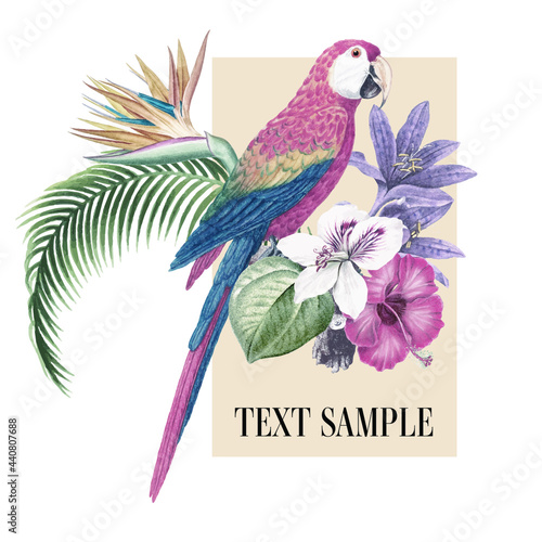 passar tropical