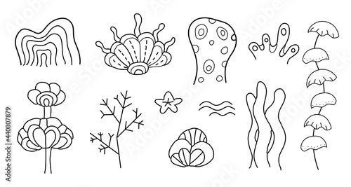 Single elements. Corals, shells, reefs. Underwater life in the sea, ocean. Hand drawn coloring for kids and adults. Beautiful simple drawings with patterns.
