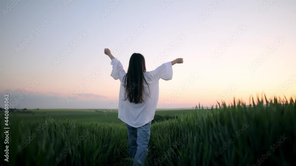 Young Beautiful brunette woman happily walking in slow motion through a field touching with hand wheat ears. Girl feeling happy and enjoying a day in field of wheat at sunset Young Beautiful brunette woman happily walking in slow motion through a field touching with hand wheat ears. Girl feeling happy and enjoying a day in field of wheat at sunset