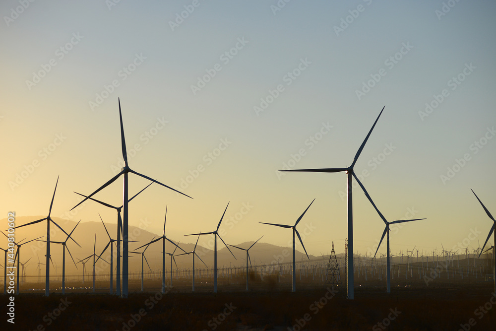 wind farm wind farm