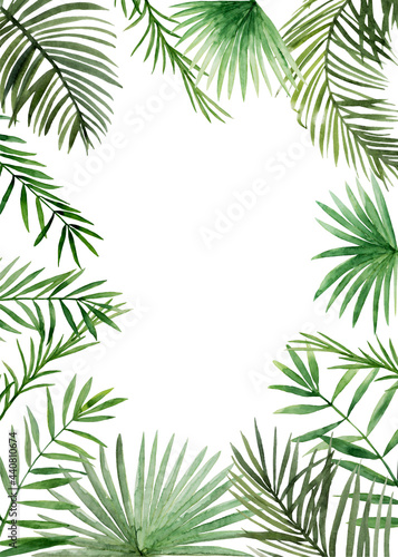 Tropical leaves card template. Green palm jungle florals. Watercolor free-hand illustration for card  wedding invitation  banner  event flyer  poster  presentation  menu  lifestyle