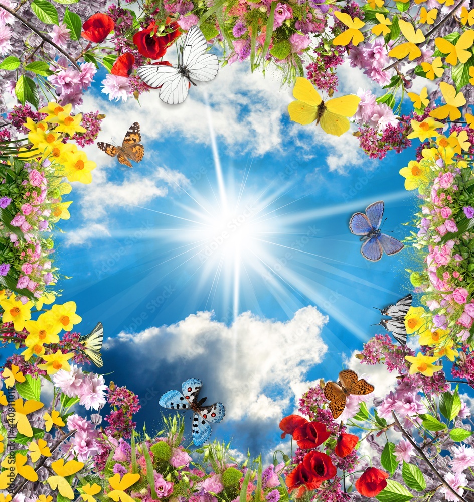Beautiful blue sky with butterflies and fresh flowers Beautiful blue sky with butterflies and fresh flowers