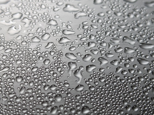 Wallpaper Mural drops of water Torontodigital.ca