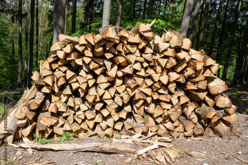 stack of firewood pattern in forest