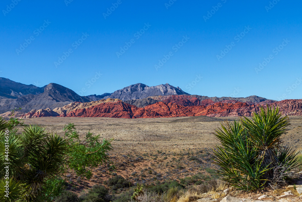 Panoramic view of Red Rock Canyon National Conservation Area in Southern Nevada