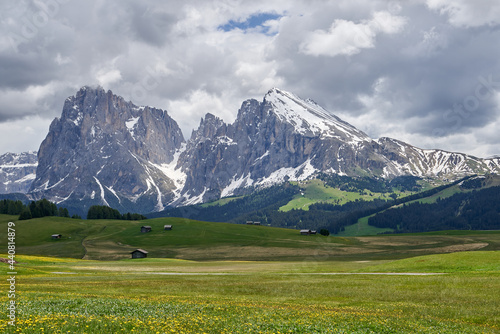 beautiful meadow in green, yellow and a little orange tones in alpe di siusi seiser alm in the dolomites, italy, europe