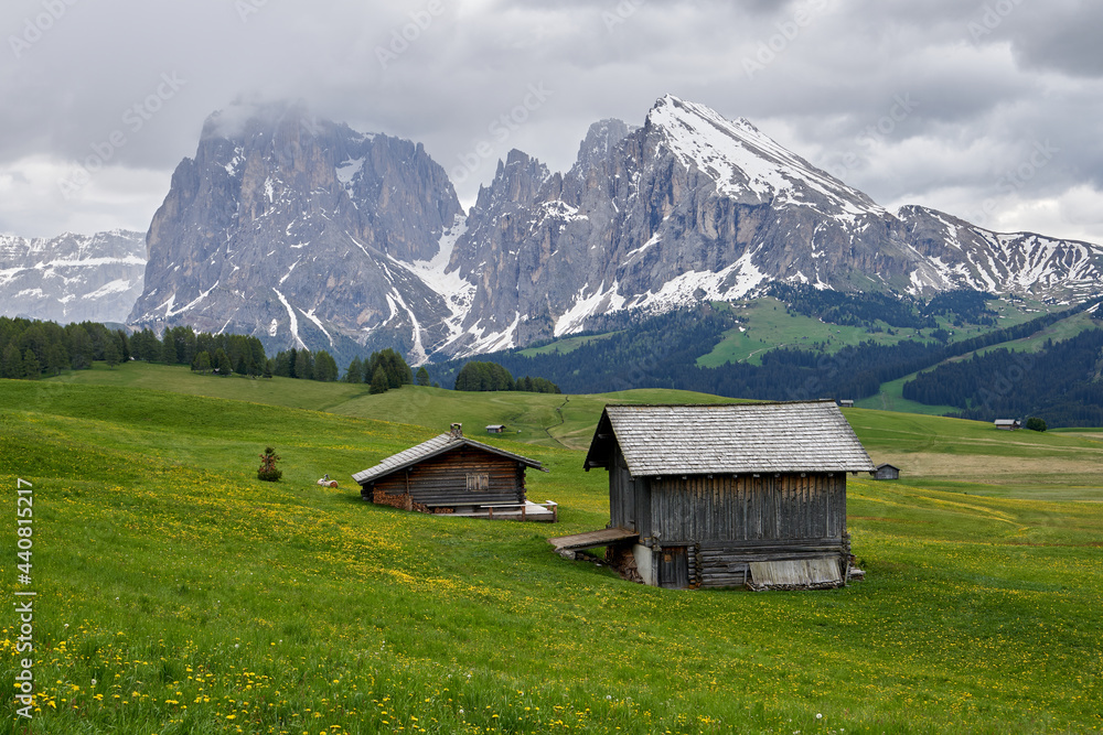 Beautiful meadow with several wooden houses facing the mountain in Alpe di Siusi Seiser Alm in the Dolomites, Italy, Europe