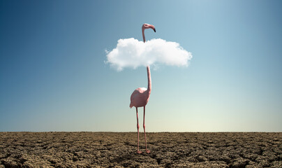 Canvas schilderij Blauw Roze flamingo in droge woestijn  © tankist276