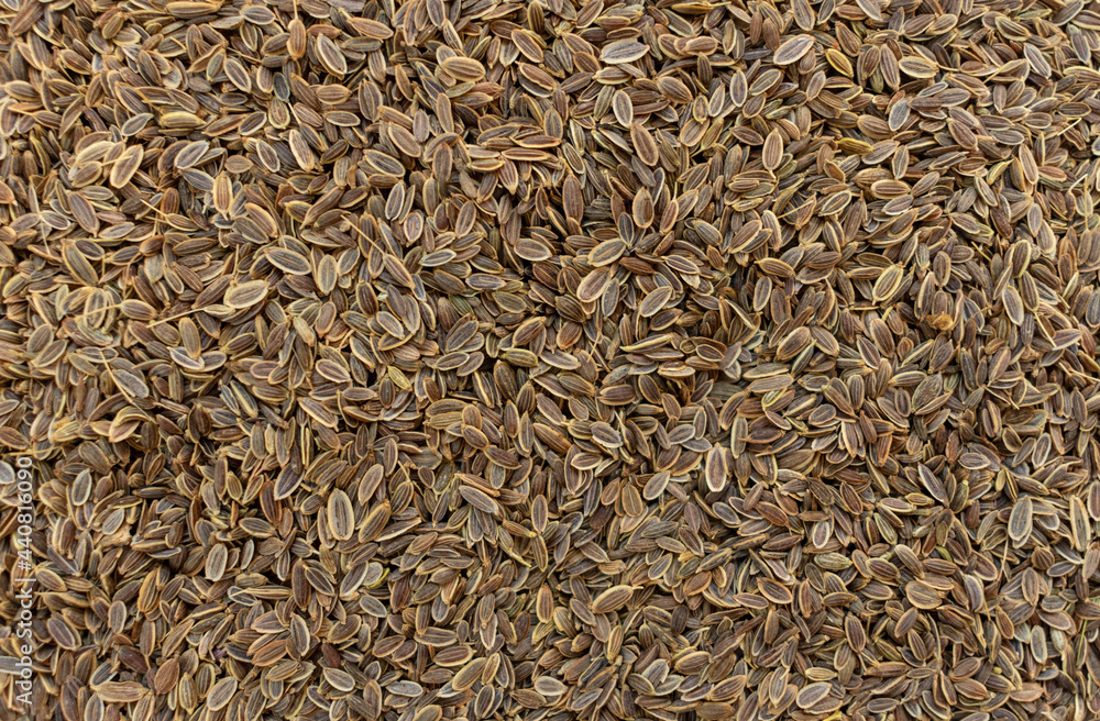 Dill seeds. Dill seeds background.