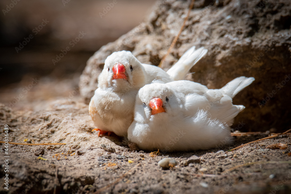 Zusammen.. // ..Together