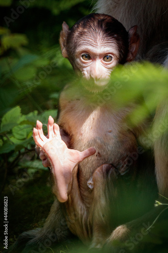 Lebe lang und in Frieden.. | ..Life long and prosper