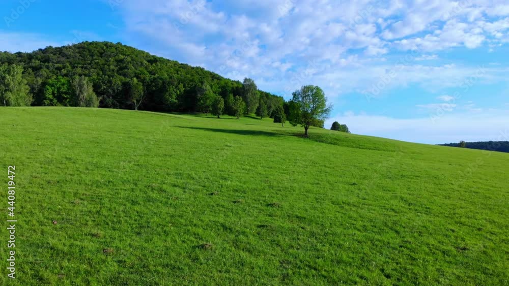 Flying over the green plain towards the forest. Blue sky with beautiful clouds. Flying over the green plain towards the forest. Blue sky with beautiful clouds.