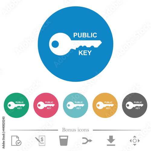 Public key flat round icons