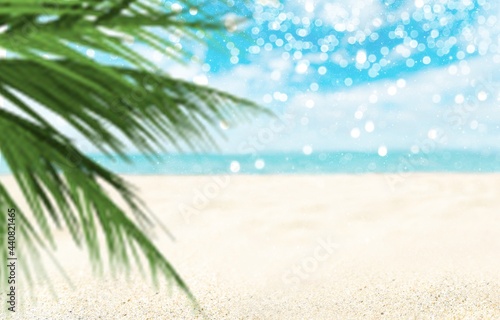 Fototapeta Naklejka Na Ścianę i Meble -  Coconut palm leaf against the beautiful beach. Vacation holidays background.