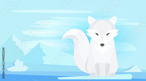 Fox of Arctic