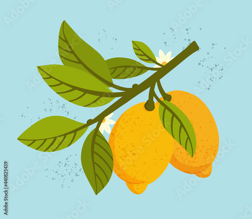 Lemon tree branch with fruits,  leaves and flowers on blue background. Fresh citrus. Exotical tropical plant. Modern design for card, package, logo, web or print. Flat vector illustration.