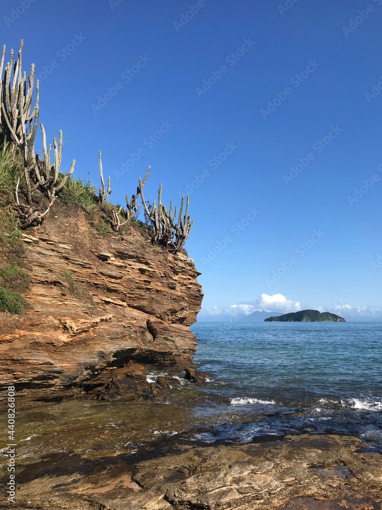 Pintura Natural - A ilha, o mar, a vegetação