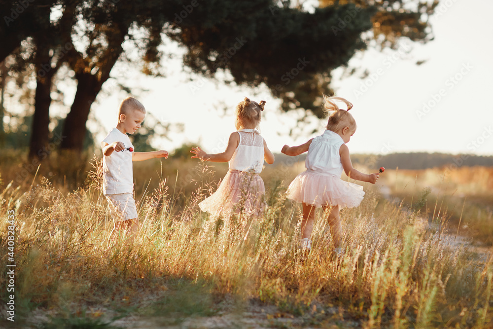Naklejka premium three children playing in the field in summer. young children playing outdoors smiling. happy family. carefree childhood