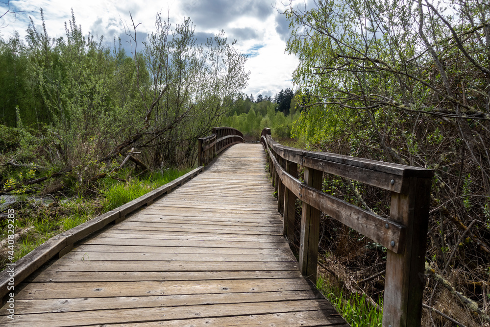 view of a wooden bridge in a swamp marshland on an overcast day in the pacific northwest