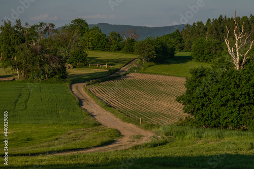 Landscape near Roprachtice village in spring summer evening