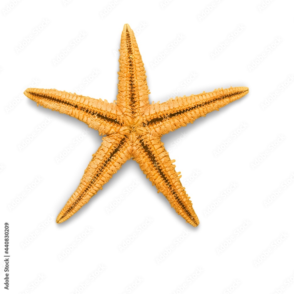 Yellow starfish souvenir, handmade decoration on a background Yellow starfish souvenir, handmade decoration on a background