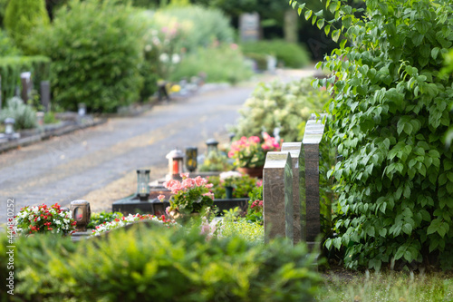 tombstones on a grave yard, view from behind
