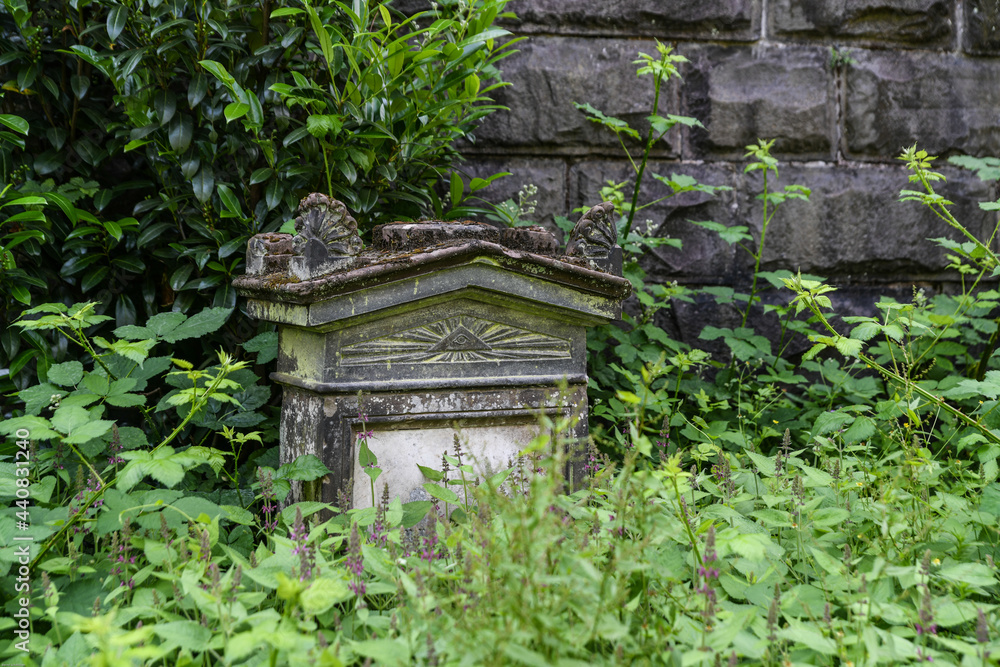 schöner alter Grabstein hinter Unkraut auf einem Wuppertaler Friedhof schöner alter Grabstein hinter Unkraut auf einem Wuppertaler Friedhof