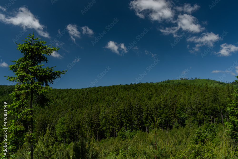 Obraz premium Schockl hill and Ehrenfels castle near Sankt Radegund town in summer morning