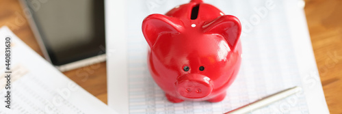 Financial report and red pig piggy bank are on table