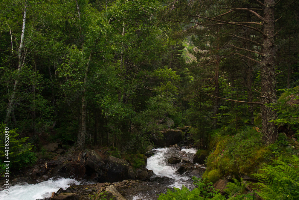 view from the top of a mountain towards the forest where a small river flows down the mountain.