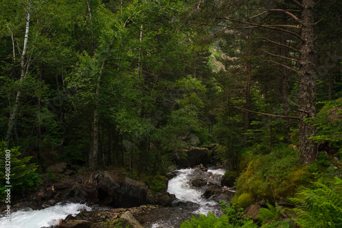view from the top of a mountain towards the forest where a small river flows down the mountain.