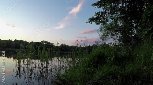 Lake in summer time.
