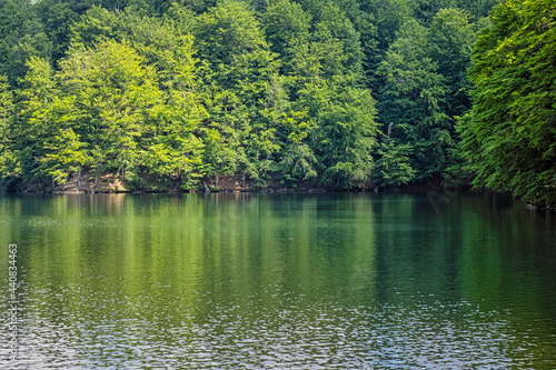 Morske oko lake  Vihorlat mountains  East Slovakia