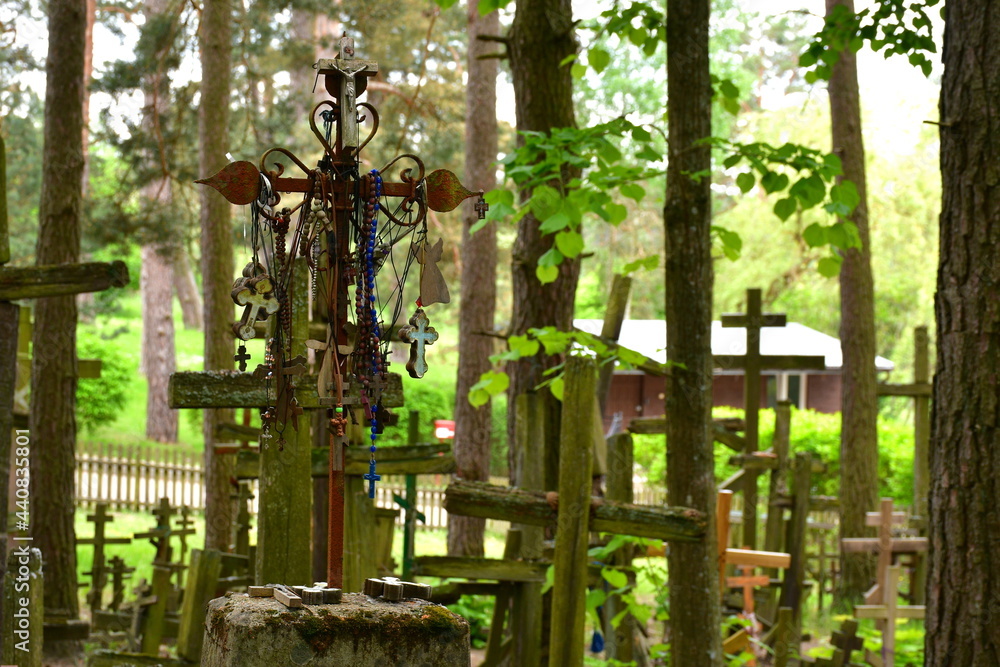 A view of a large collection of Christian and Orthodox crosses brought to the sacred place by pilgrims seen in the dense forest or moor surrounded by lush greenery seen on a sunny summer day in Poland