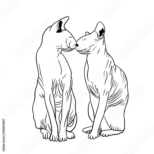 Simple illustration of two enamored sphinxes