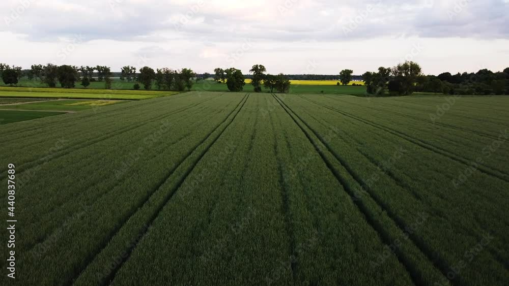 Polish countryside with fields planted with a variety of crops. Aerial view at blue hour. Polish countryside with fields planted with a variety of crops. Aerial view at blue hour.